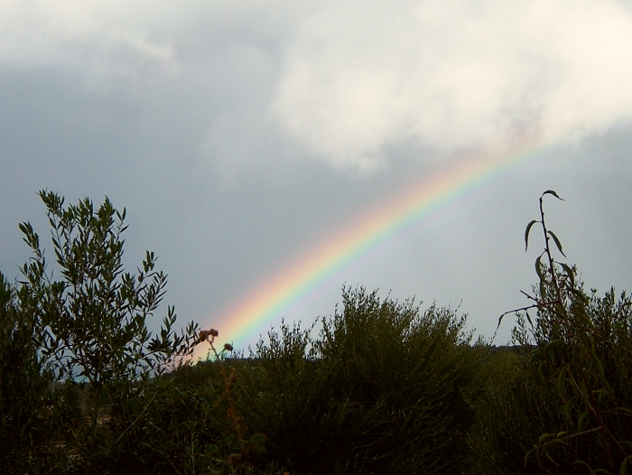 100_2057 small RAINBOW MESI.jpg - 259244 Bytes